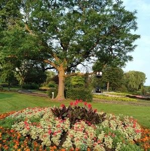 Meet your Posher, Racquel